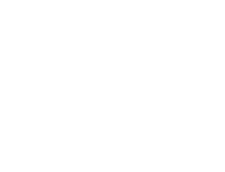 Cultura, valores y equipo